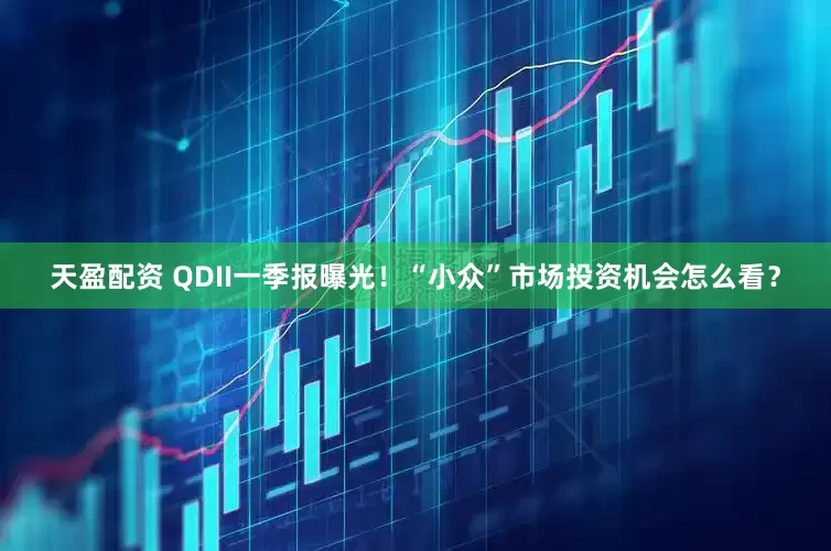 天盈配资 QDII一季报曝光！“小众”市场投资机会怎么看？