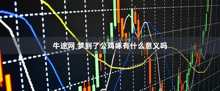 牛途网 梦到了公鸡啄有什么意义吗