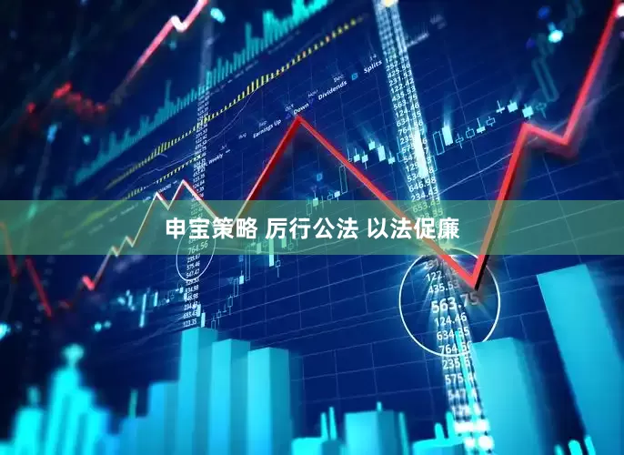 申宝策略 厉行公法 以法促廉