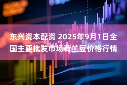 东兴资本配资 2025年9月1日全国主要批发市场荷兰豆价格行情